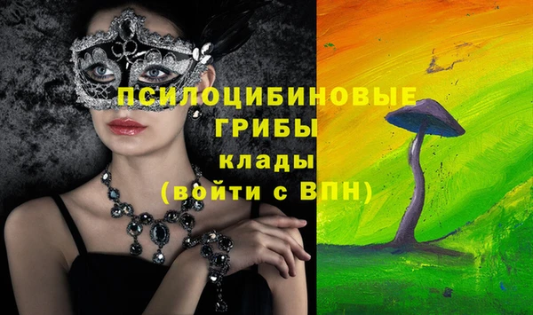 мдпв Армянск
