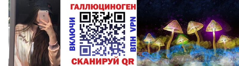 Галлюциногенные грибы MAGIC MUSHROOMS  Купить где  Сковородино 